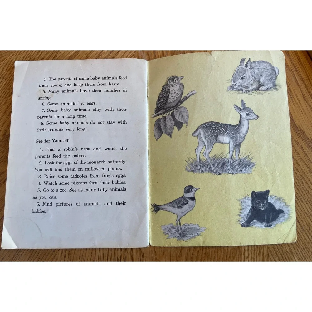 Row‎ Peterson Animals and Their Young Primary Book 1951 Multicolor Good Vintage